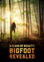 Watch A Flash of Beauty: Bigfoot Revealed Letmewatchthis