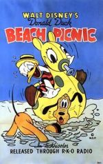 Watch Beach Picnic Letmewatchthis