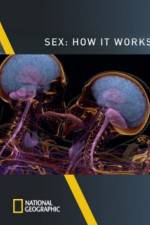 Watch Sex How It Works Letmewatchthis