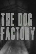 Watch The Dog Factory Letmewatchthis