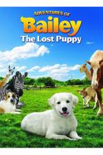 Watch Adventures of Bailey The Lost Puppy Letmewatchthis