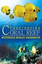 Watch Fascination Coral Reef: Mysterious Worlds Underwater Letmewatchthis
