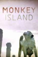 Watch Monkey Island Letmewatchthis