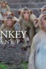 Watch Monkey Planet Letmewatchthis