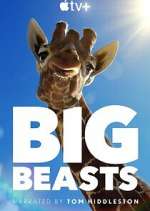 Watch Big Beasts Letmewatchthis