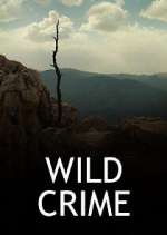 Watch Wild Crime Letmewatchthis