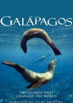 Watch Galapagos Letmewatchthis