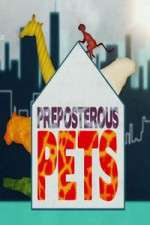 Watch Preposterous Pets Letmewatchthis