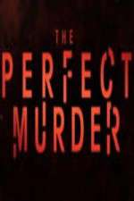 Watch The Perfect Murder Letmewatchthis