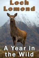 Watch Loch Lomond: A Year in the Wild Letmewatchthis