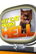 Watch My Cat from Hell Letmewatchthis