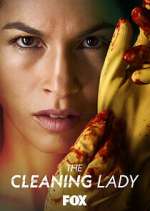 The Cleaning Lady letmewatchthis
