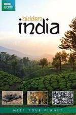 Watch Hidden India Letmewatchthis