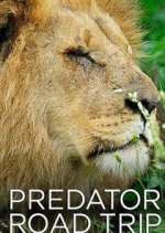 Watch Predator Road Trip Letmewatchthis