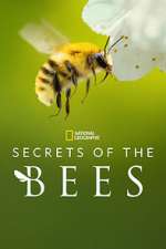 Secrets of the Bees letmewatchthis