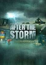 Watch After the Storm Letmewatchthis