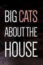 Watch Big Cats About the House Letmewatchthis