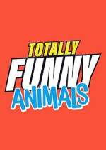 Watch Totally Funny Animals Letmewatchthis