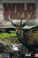 Watch Wild Wales Letmewatchthis