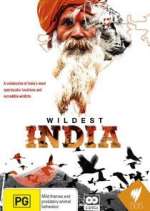 Watch Wildest India Letmewatchthis