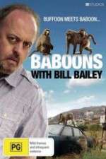 Watch Baboons with Bill Bailey Letmewatchthis
