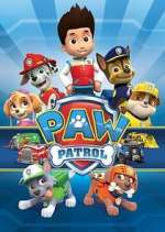 Watch Paw Patrol Letmewatchthis