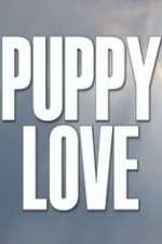 Watch Puppy Love Letmewatchthis