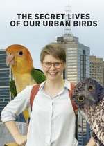 Watch The Secret Lives of Our Urban Birds Letmewatchthis