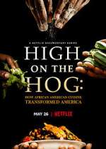 Watch High on the Hog: How African American Cuisine Transformed America Letmewatchthis