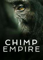 Watch Chimp Empire Letmewatchthis