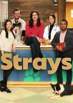 Watch Strays Letmewatchthis